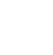 Animaux de compagnie (chien) - 12 €