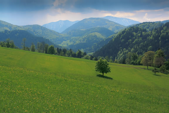 Walks to the Schneeberg Massif