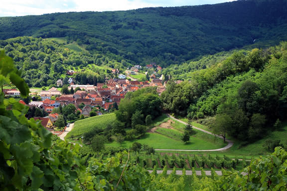 Route des Vins d'Alsace