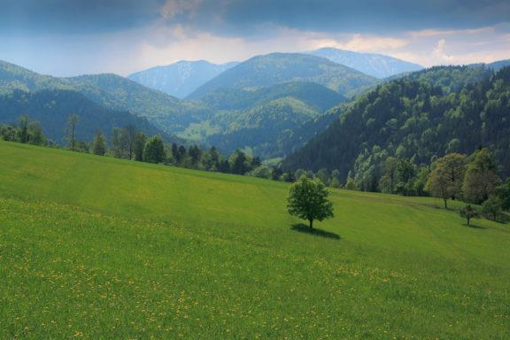 Randonnée et Spa en Alsace : une journée entre nature et bien-être près de Saverne